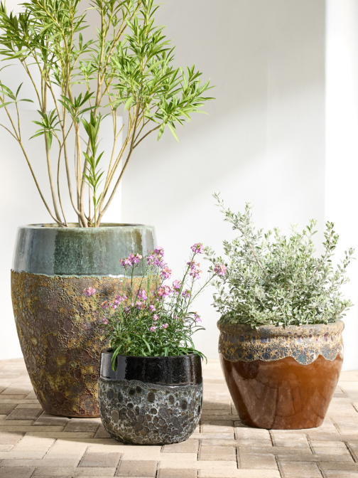Pots & Planters