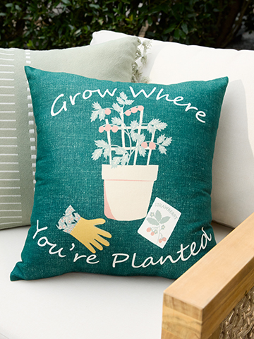 Seasonal Pillows