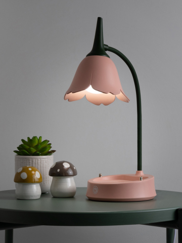 Novelty Lights