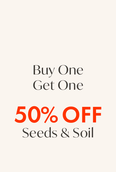 Plant Seeds & Soil Deal