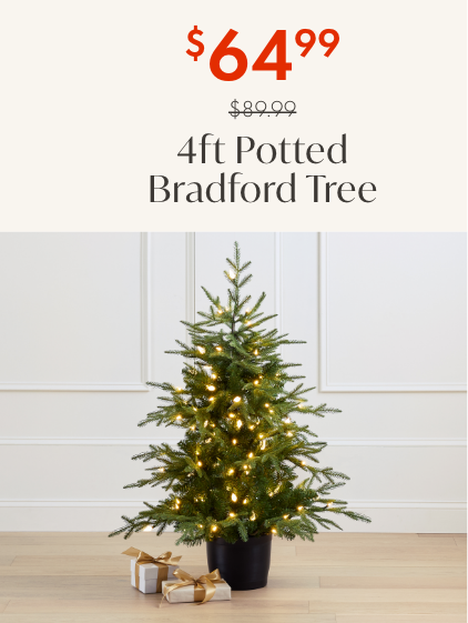 $25 off 4ft Potted Bradford Spruce