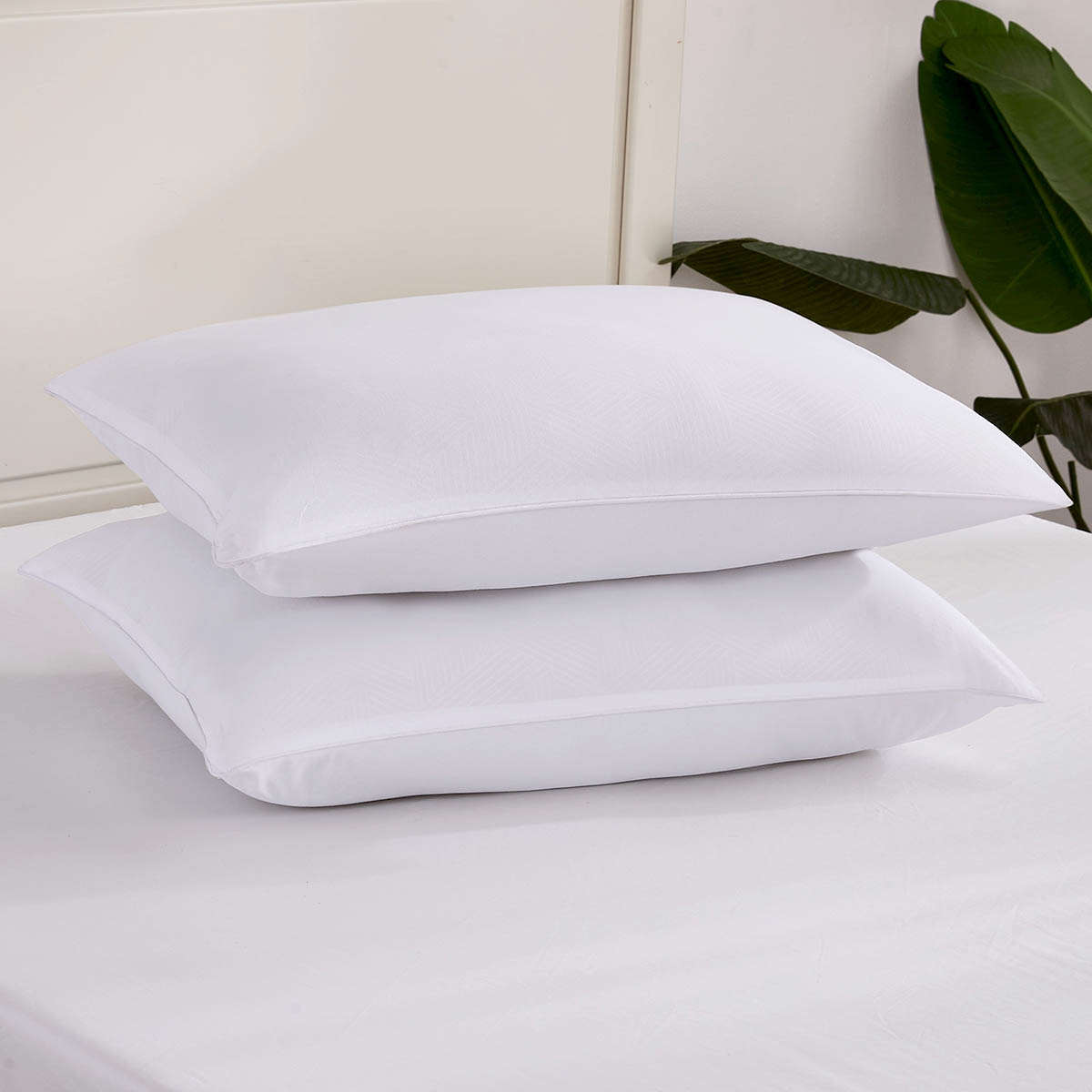 Bed Pillows & Protectors