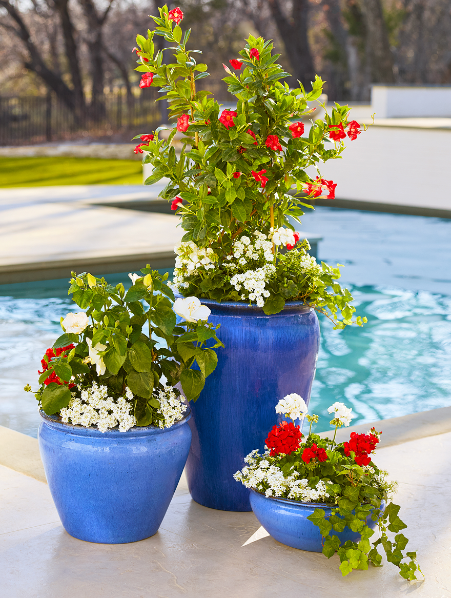 Shop Pots & Planters