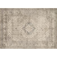 (B500) Xander Distress Look Ivory & Tan Area Rug, 5x7