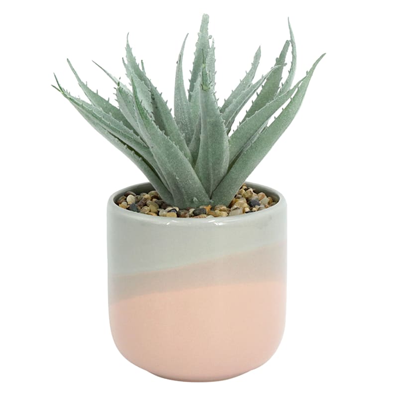4x7 Ceramic Blue Pink Faux Succulent At Home