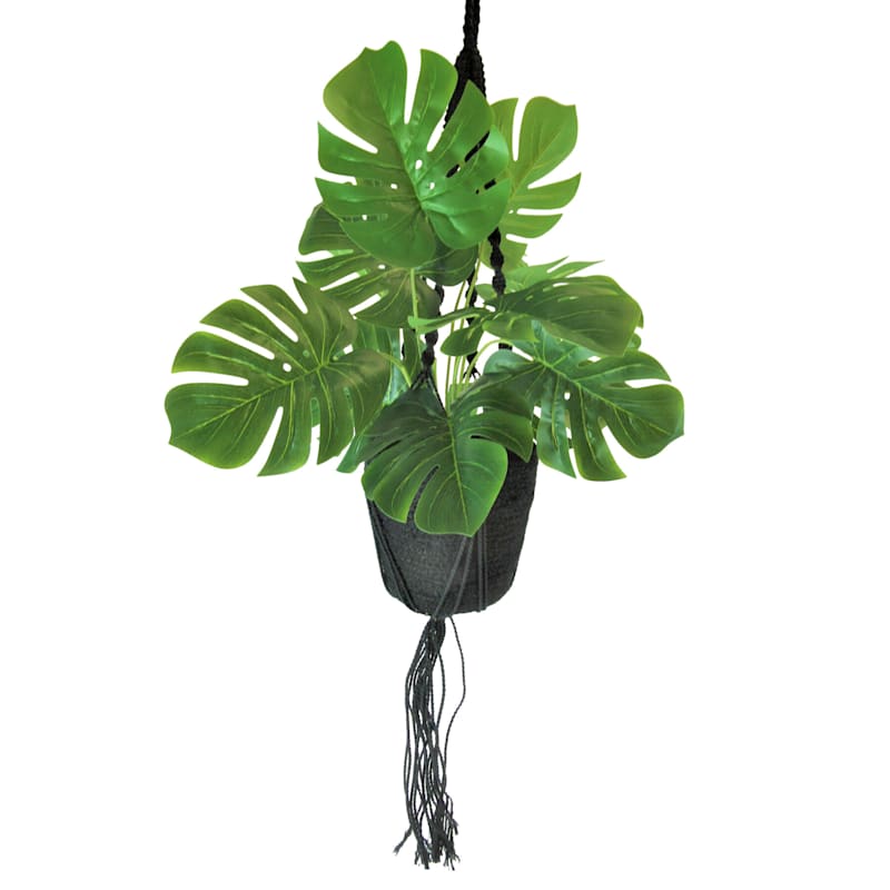 30in. Hanging Hosta Basket At Home