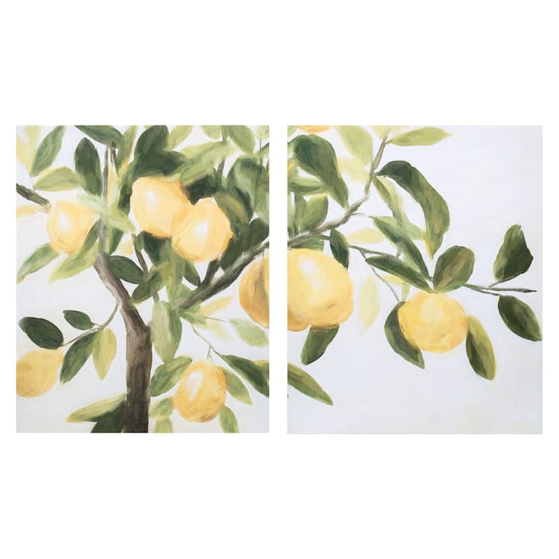 14X11 Two Lemon Tree Canvas Wall Art | At Home
