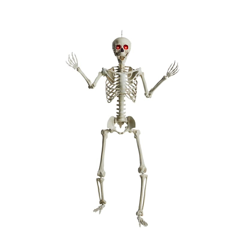 Posable Life-Size Halloween Skeleton, 5'