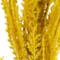 Yellow swatch