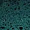 Blue-Grey swatch