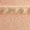 Terra swatch