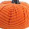 Orange swatch