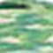 Green swatch
