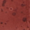 Red swatch