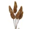 Brown swatch