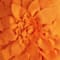 Orange swatch
