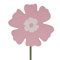 Pink swatch