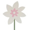 White swatch