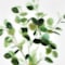 Green swatch