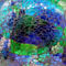 Blue swatch