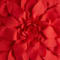 Red swatch