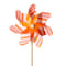 Orange swatch