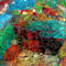 Multicolor swatch