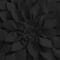 Black swatch