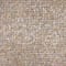Champagne swatch