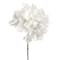 White swatch