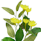 Yellow swatch