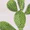 Green swatch