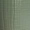Green swatch