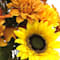 Yellow swatch