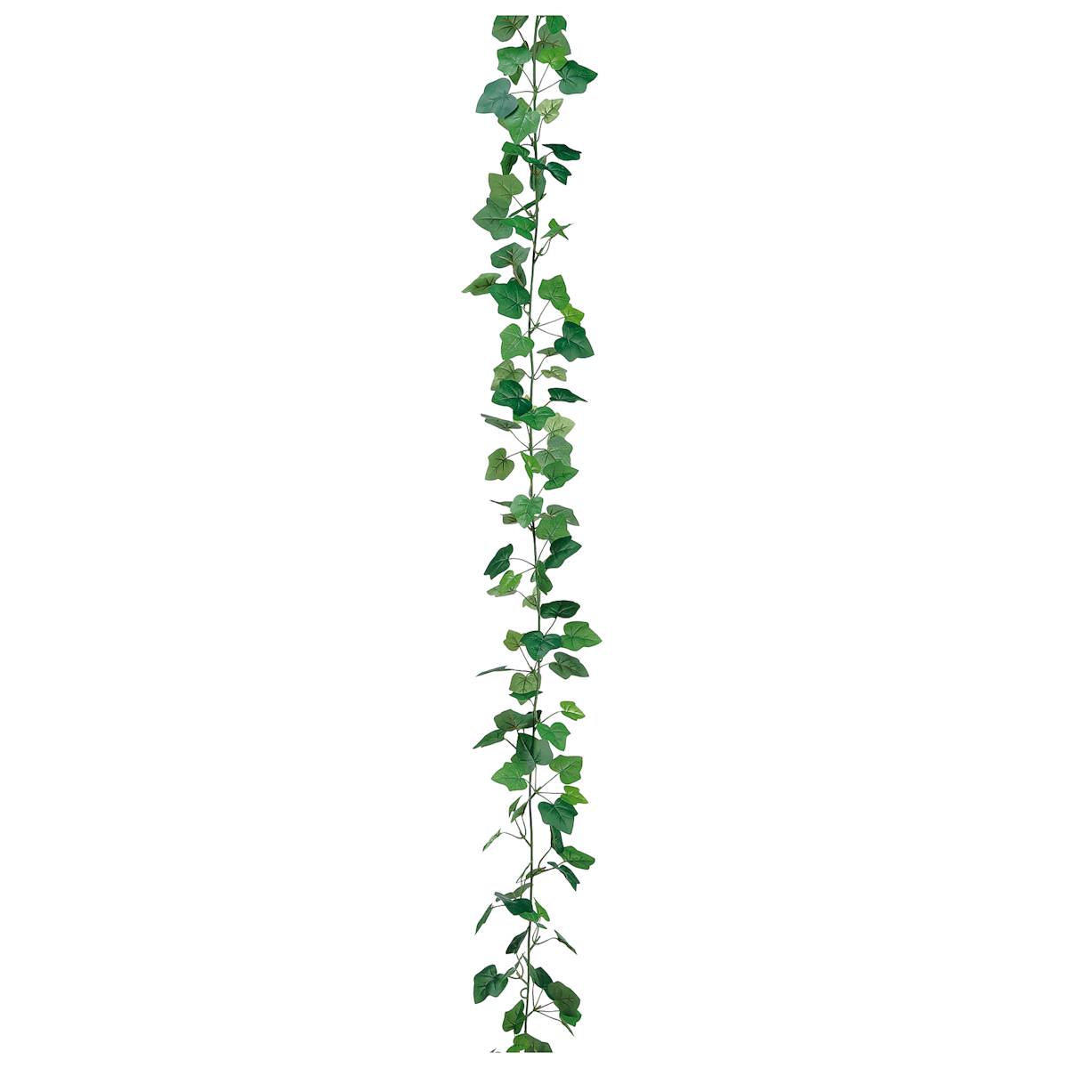 English Ivy White and Green Natural Garland