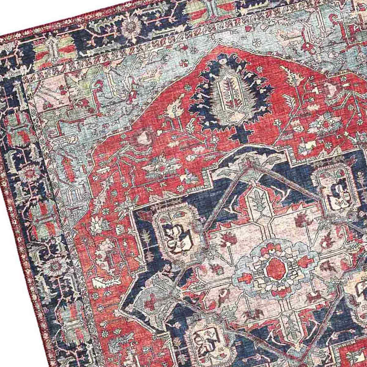 レッドプリンス錦 Red Cherry Shrimp, (4 pack) (Neocaridina davidi) - Dan's Fish