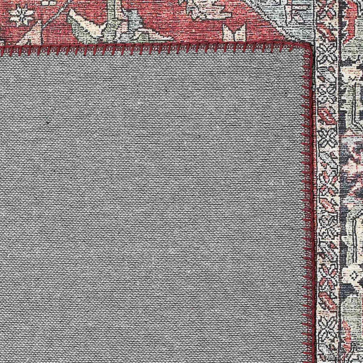 レッドプリンス錦 Red Cherry Shrimp, (4 pack) (Neocaridina davidi) - Dan's Fish