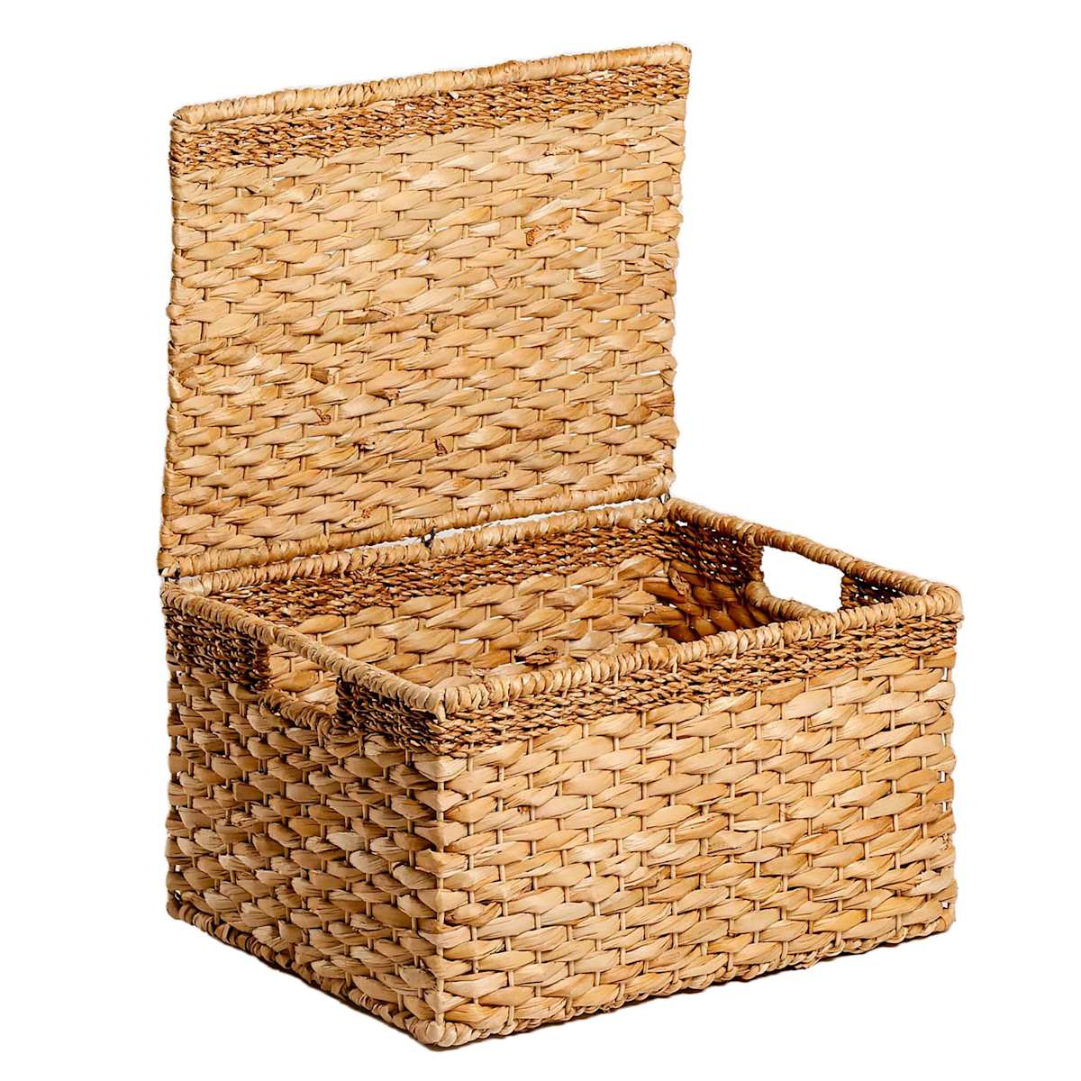 Baskets with lids for storage discount
