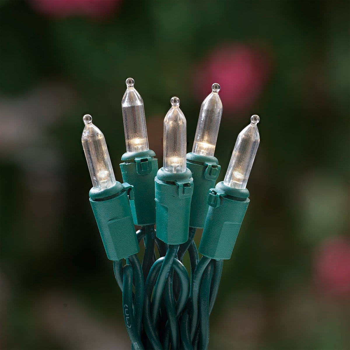100 count mini lights online