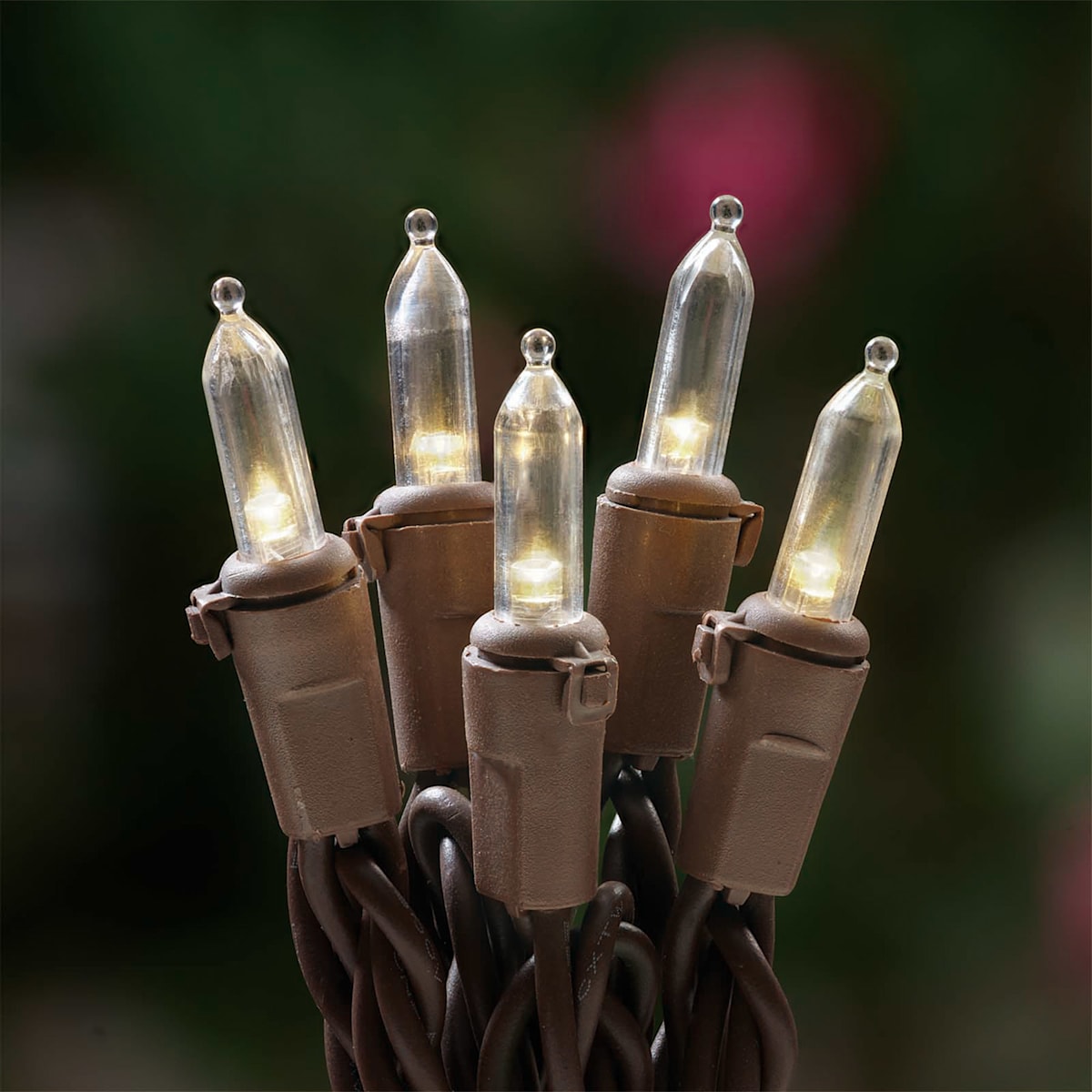 Brown led string lights online
