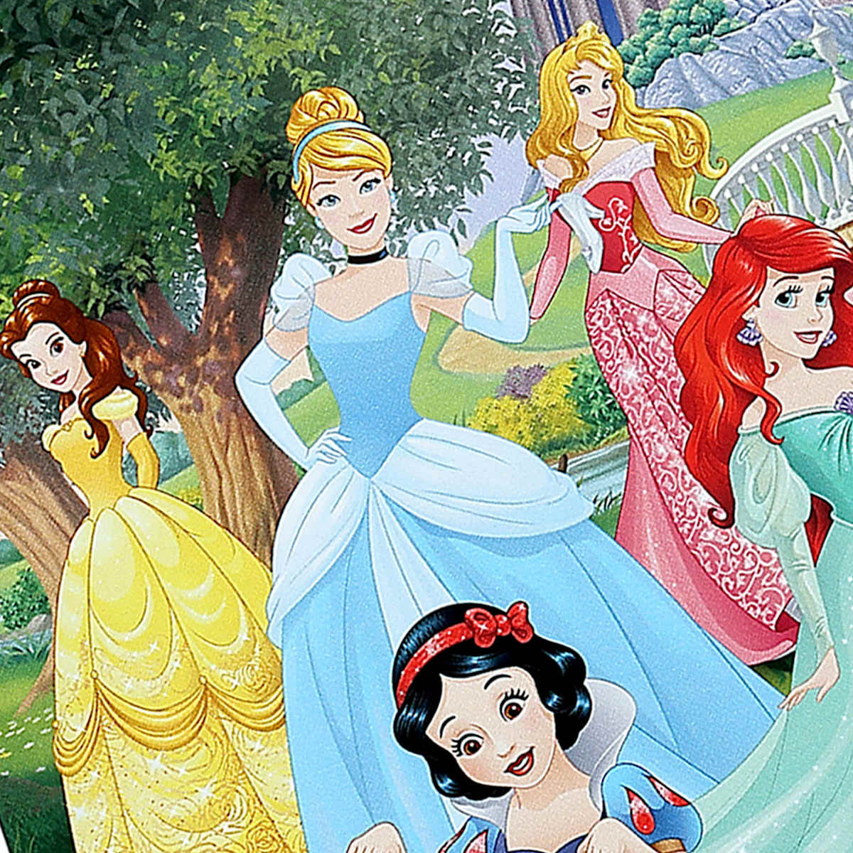 Disney Princess Canvas Wall Art 11x14