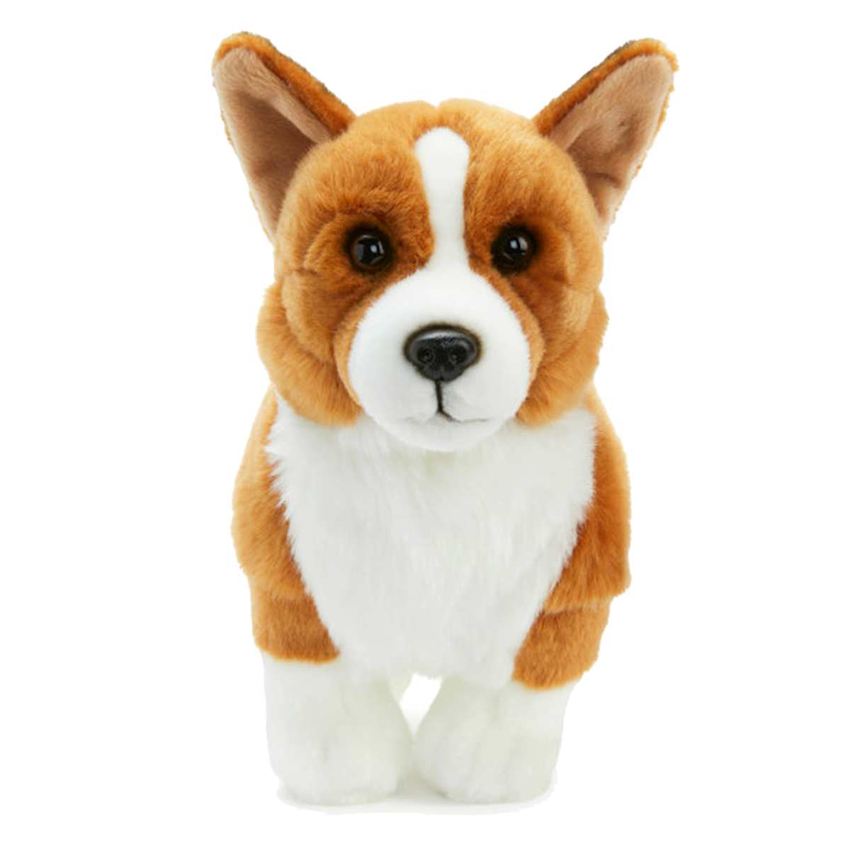 Corgi stuffie store