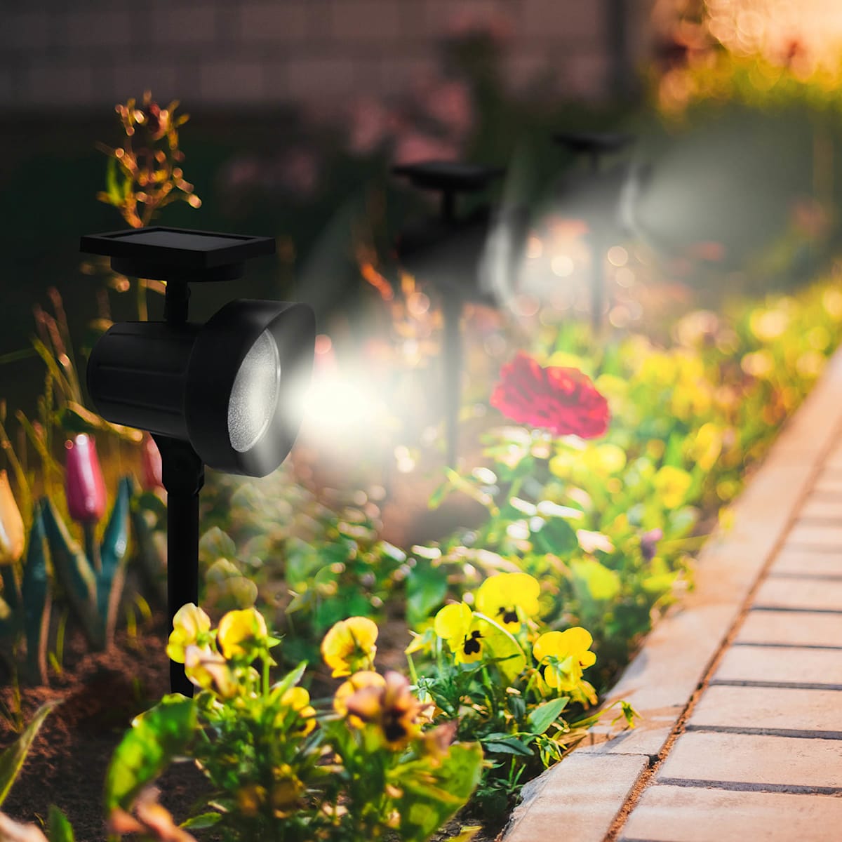 25 Lumens Warm White Solar Spotlight Decor At Home