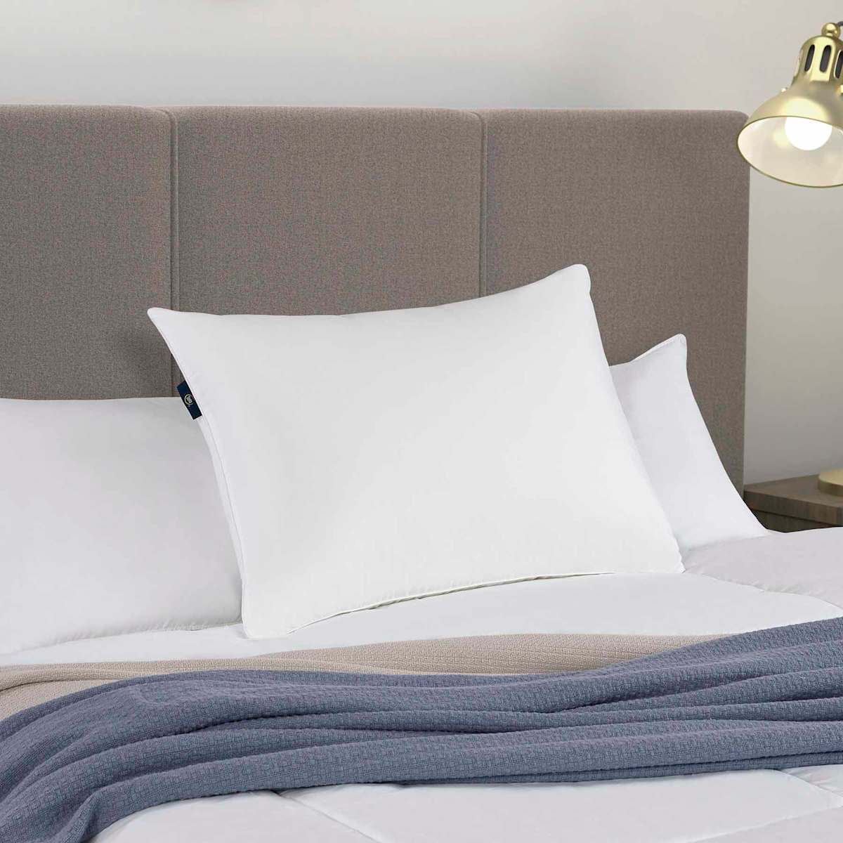 Serta standard pillow cheap