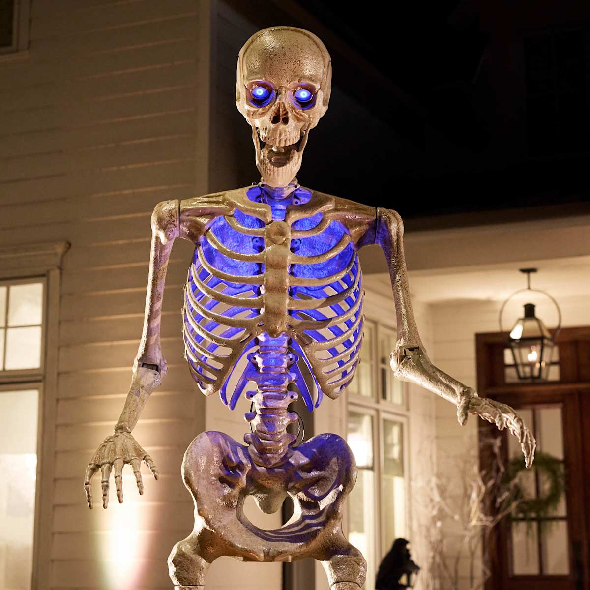 Color-Changing LED Skeleton, 10' | At Home