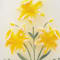 Yellow swatch