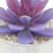 Purple swatch