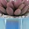 Blue swatch