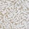 Ivory swatch