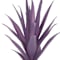 Purple swatch
